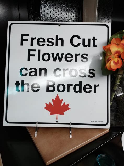 Fresh cut flowers | the sign collector