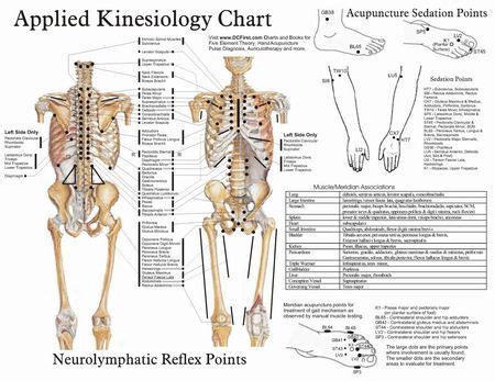 Applied Kinesiology Chart Set Kinesiology Muscle Testing