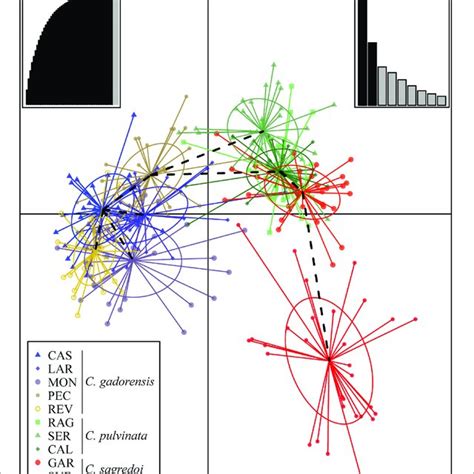 Result Of The Discriminant Analysis Of Principal Components Dapc Download Scientific