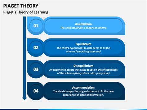 Piaget Stages Of Cognitive Development Powerpoint Outlet Saberoffice Co