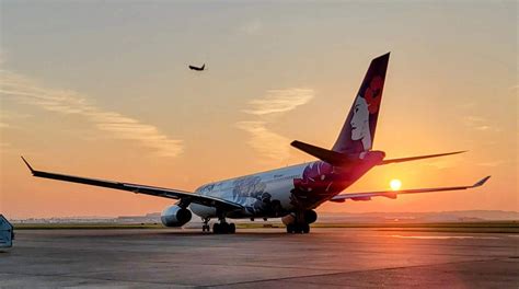 Hawaiian Airlines Cuts New Zealand Route This Summer