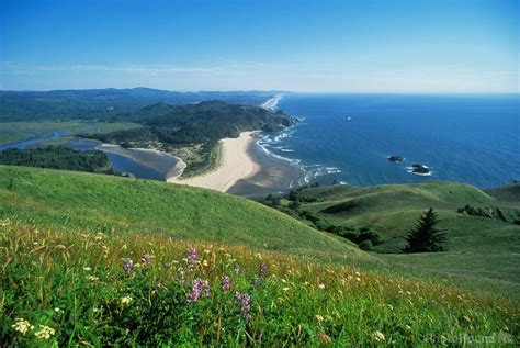 Image Of Cascade Head By Greg Vaughn Photohound