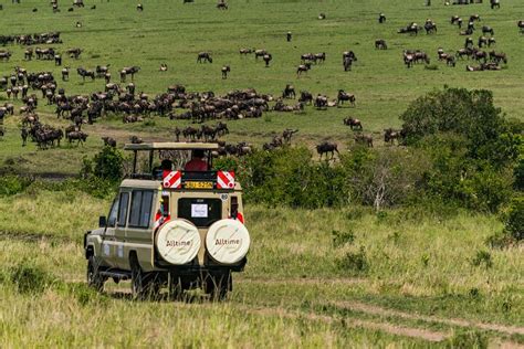 Arusha Days Wildebeest Calving Safari In Arusha