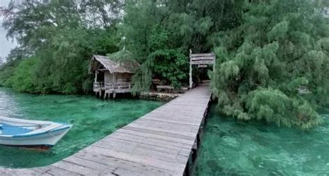 Menjaga Kelestarian Pantai Dan Mangrove Di Kepulauan Seribu Dari Sampah