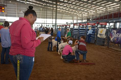 Jr Livestock Judging Contest