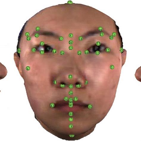 The 62 Landmarks Associated With 3d Facial Geometry Download