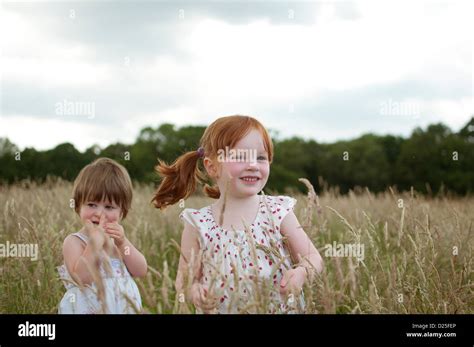 Un Champ Dherbes Hautes Banque Dimage Et Photos Alamy