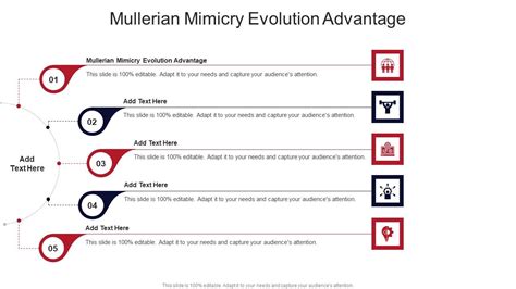 Mullerian Mimicry Evolution Advantage In Powerpoint And Google Slides ...