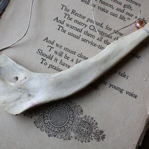 Jaw Bone Art Deer Jaw Bone Native Made - Etsy