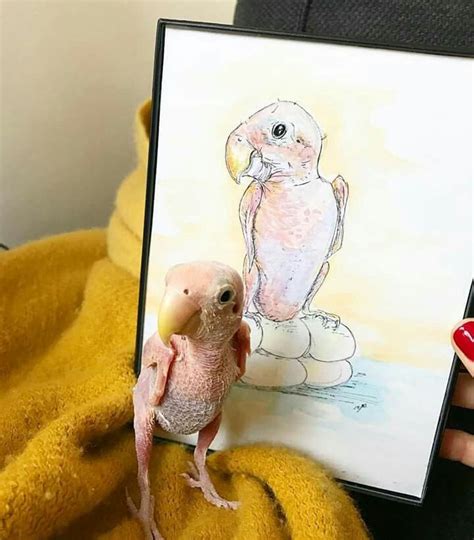 Pin By Samara Morgan On Rhea The Naked Birdie Dinosaur Stuffed Animal