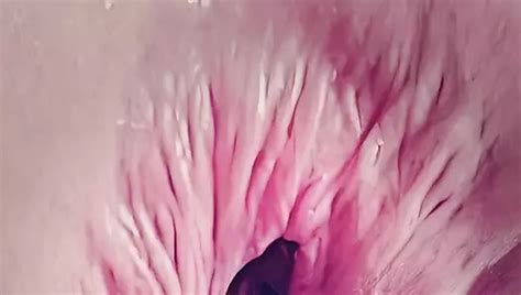 Merry Christmas Ass Butt Anal Sex Cum 116 Nude Pics XHamster