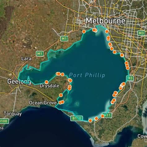 fishing  port phillip bay victoria explore fishing spots catches