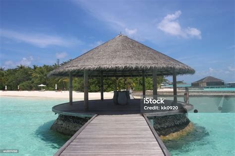 Maldives With Sunny Sky Stock Photo - Download Image Now - Beach ...