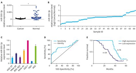 Expression Of Mir 205 3p In Gc Tissues And Kaplan Meier Survival Curves Download Scientific