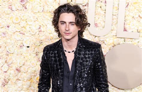 Timoth E Chalamet Speaks Out To Deny Selena Gomez Photo Snub Gossip