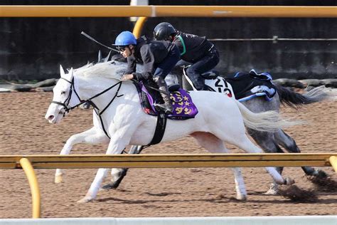 ソダシ 次走はチャンピオンズcへ！血統はダート適性十分“二刀流”の活躍も期待― スポニチ Sponichi Annex ギャンブル