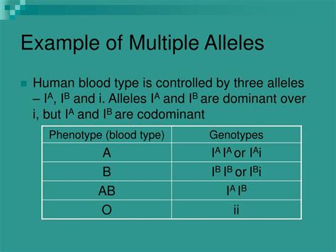 Ppt Example Of Multiple Alleles Powerpoint Presentation Free