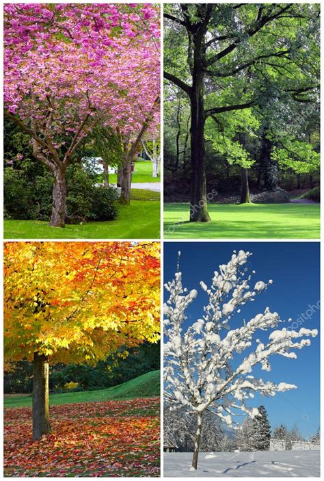 Four Seasons Stock Photo By ©hannamariah 11862007