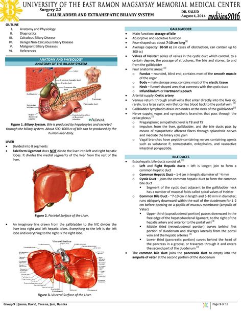 Solution Surg Ii Gallbladder And Biliary Tree Studypool