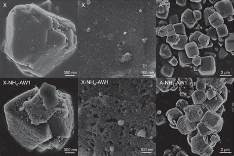 Scanning Electron Micrographs Of Conventional And Hierarchical X And A