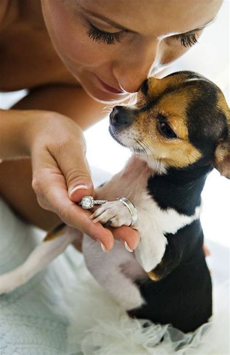 Linda Tambi N Dijo Si Quiero Fotograf A Con Mascota Mascotas Bodas