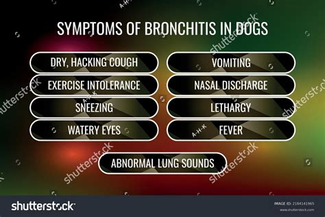 Symptoms Bronchitis Dogs Vector Illustration Medical Stock Vector ...