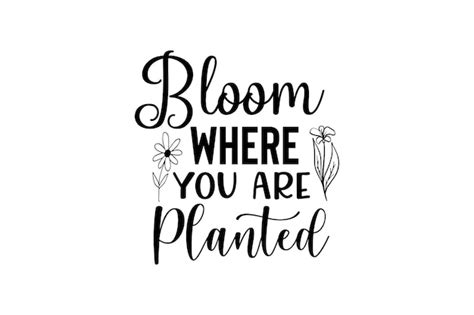 Premium Vector Bloom Where You Are Planted