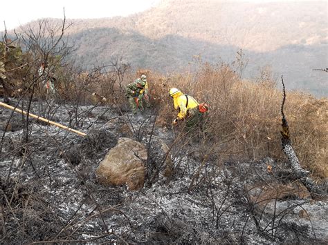 Sedena Aplica Plan Dn Iii E Para Sofocar Incendio Forestal En