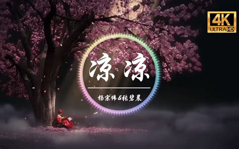 凉凉最好听的版本张碧晨太美了 bilibili B站 无水印视频解析YIUIOS易柚斯