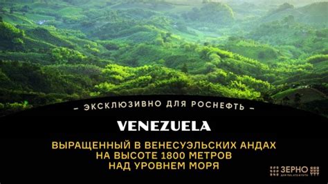 Новинка на АЗС "Роснефть" – кофе из Венесуэлы