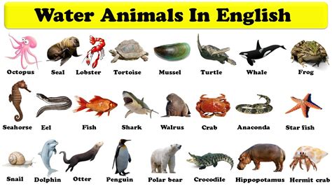water animal