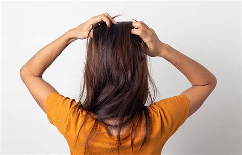 How To Apply Oil On Hair A Step By Step Guide