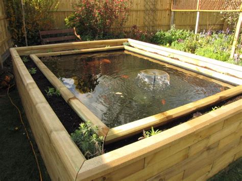 Raised Ponds Design Your Shape And Size Raised Pond Pond Kits Ponds