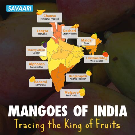 Mangoes of India - Tracing the king of fruits