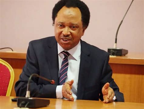 Fuel Scarcity Shehu Sani Reveals Those Responsible