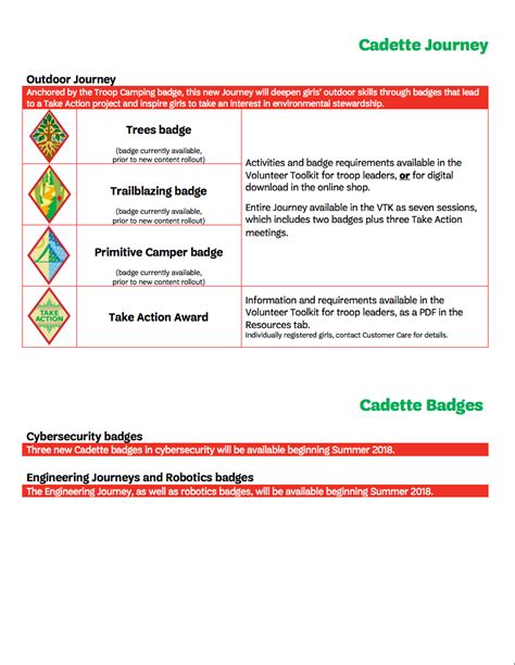 Girl Scout Cadette Badges - change comin