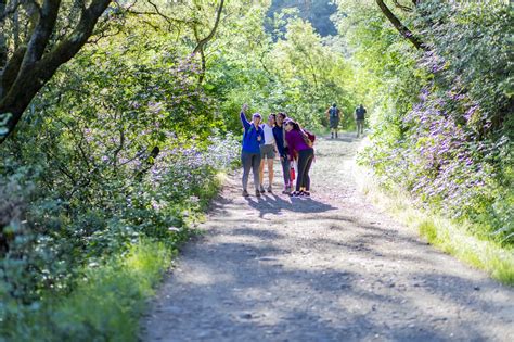 4 Reasons Placer County is a Hiking Haven | Visit Placer