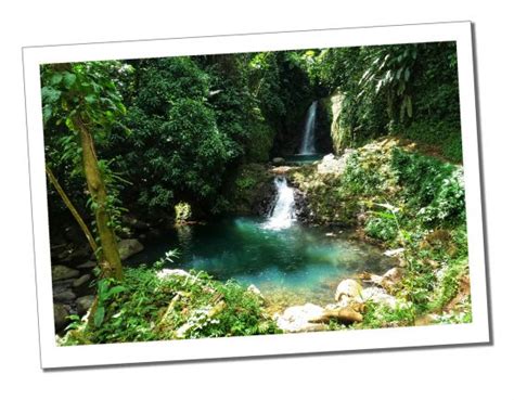 Your Ultimate Guide to the 7 Best Waterfalls in Grenada - Sue Where Why ...