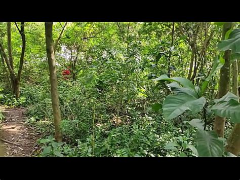 Fodeu O Vizinho No Terreno Abandonado COMPLETOS E EXCLUSIVOS NO RED XVIDEOS