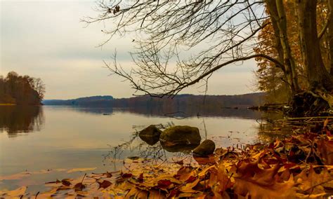 The 10 Biggest Lakes In Pennsylvania A Z Animals