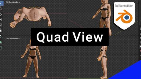 What Is Quad View In Blender And How To Use It