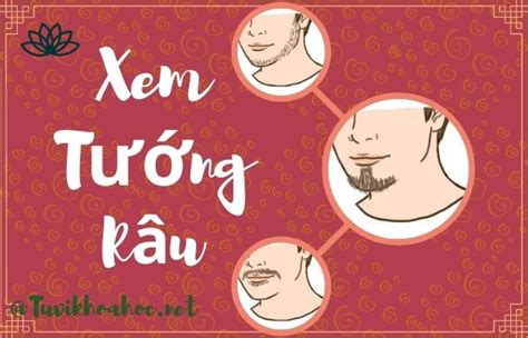 Xem Tướng Râu đàn ông Luận Khí Phách Quân Tử Hay Tiểu Nhân”