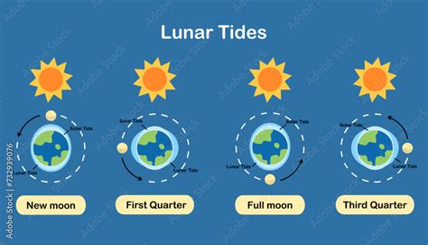 Cause of tides. Moon tides, Lunar tides. Earth’s tide cartoon ...