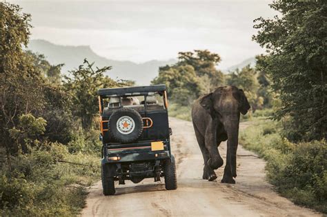 Udawalawe National Park