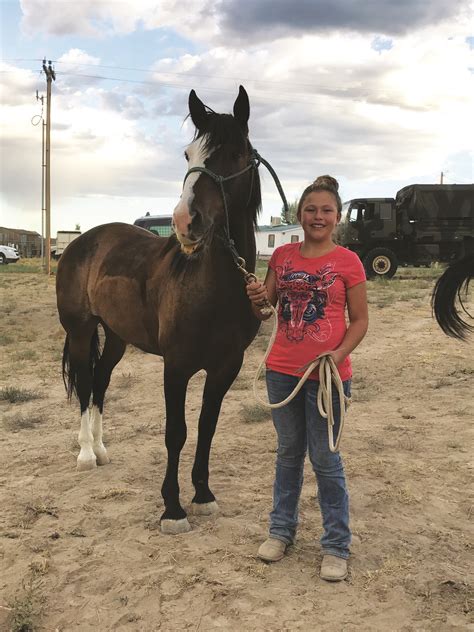 Ely’s first wild horse adoption a big success | The Ely Times