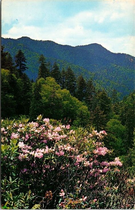 Newfound Gap Great Smoky Mountains National Park Tennessee Chrome