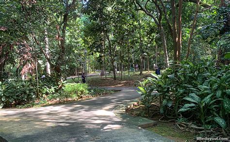 Yishun Park - Yishun Park Playground Family Fitness With Skechers Kids ...