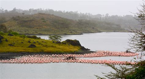 How To Plan A Day Trip To Arusha National Park Creative Travel Guide