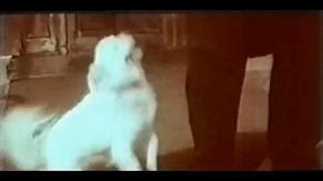 MOVIE RUSH LA FEBBRE DEL CINEMA NUDE SCENES AZNude