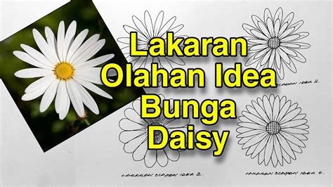 Lakaran Olahan Idea Bunga Daisy Youtube